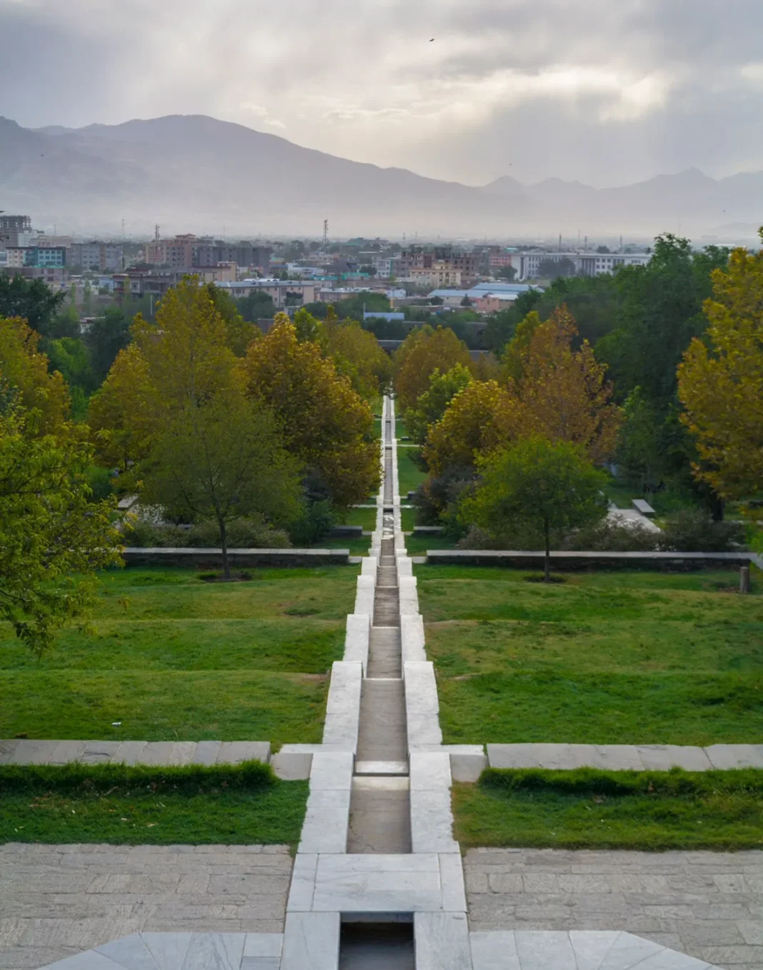 Photo of Terraces in Bloom