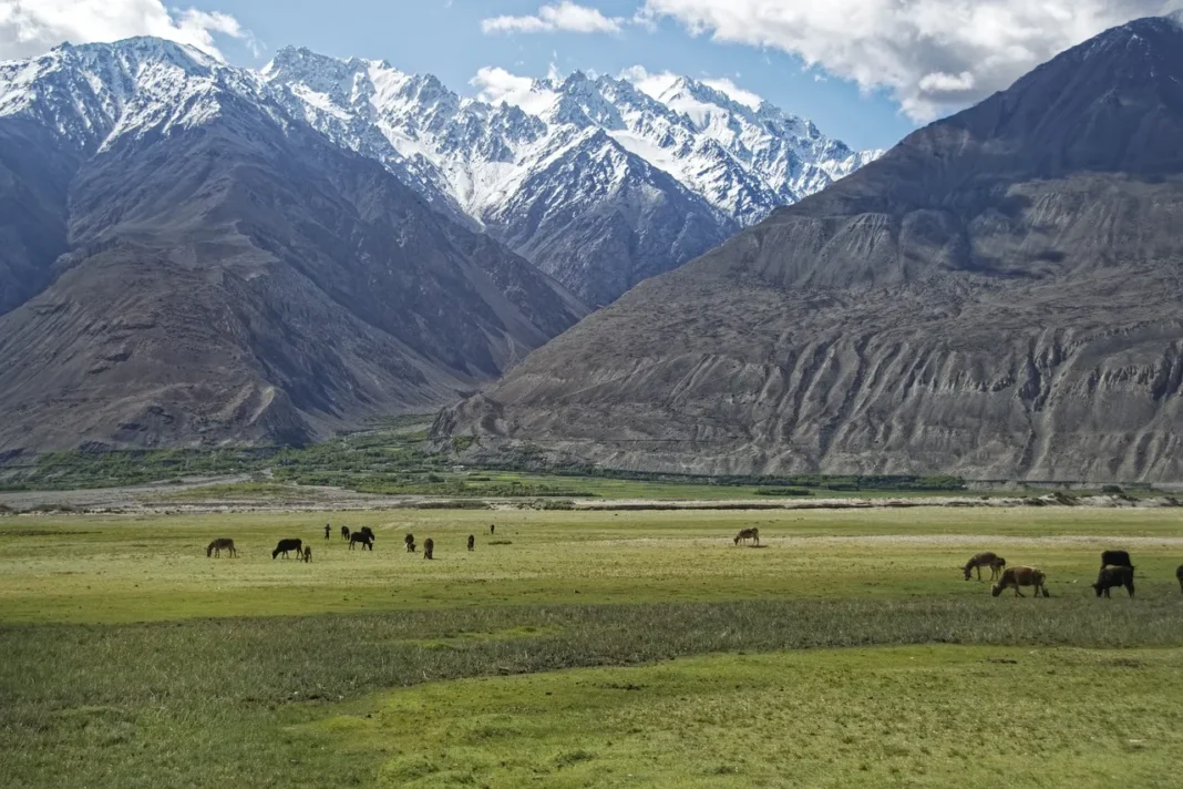 Hindu Kush Mountains