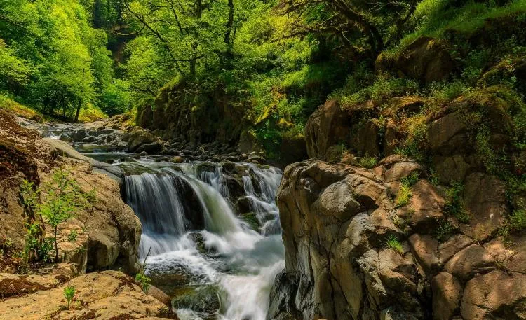 Hirkan National Park