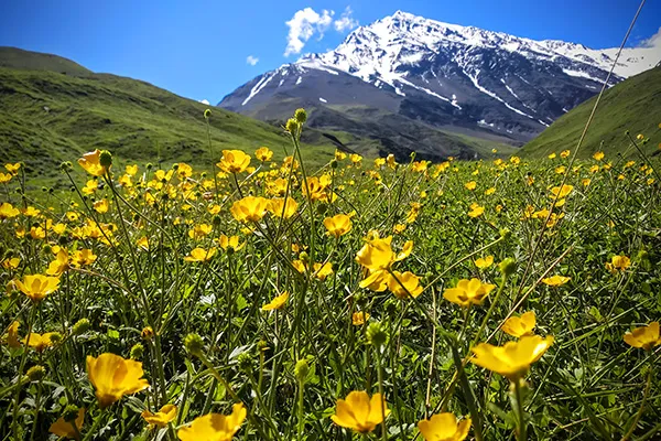 Mount Bazarduzu expedition