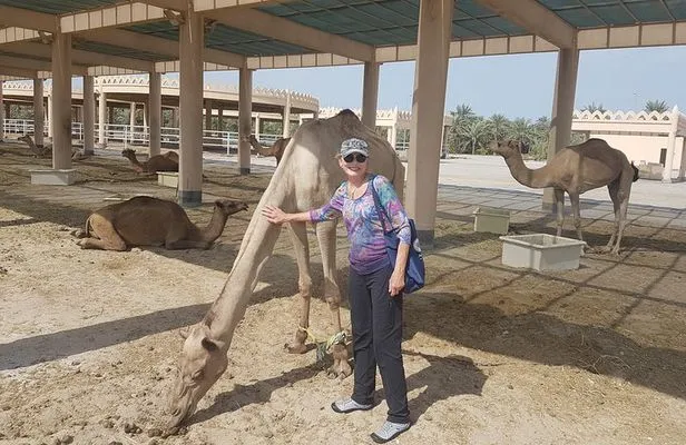 camel trekking in Sakhir Desert