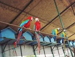 Bangabandhu Sheikh Mujib Safari Park