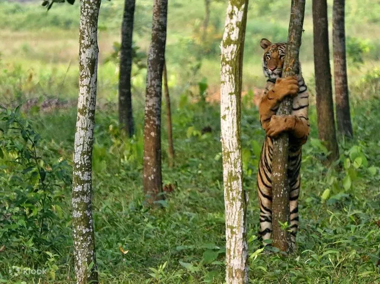 Bangabandhu Sheikh Mujib Safari Park