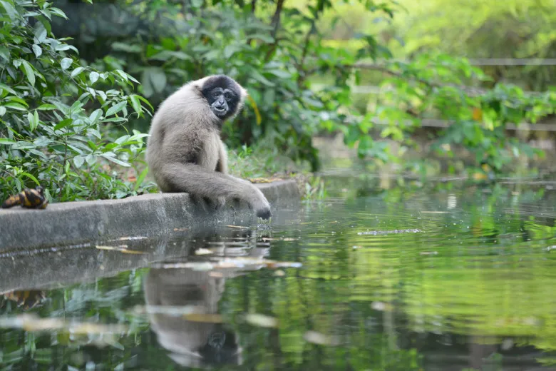 Ulu Temburong National Park