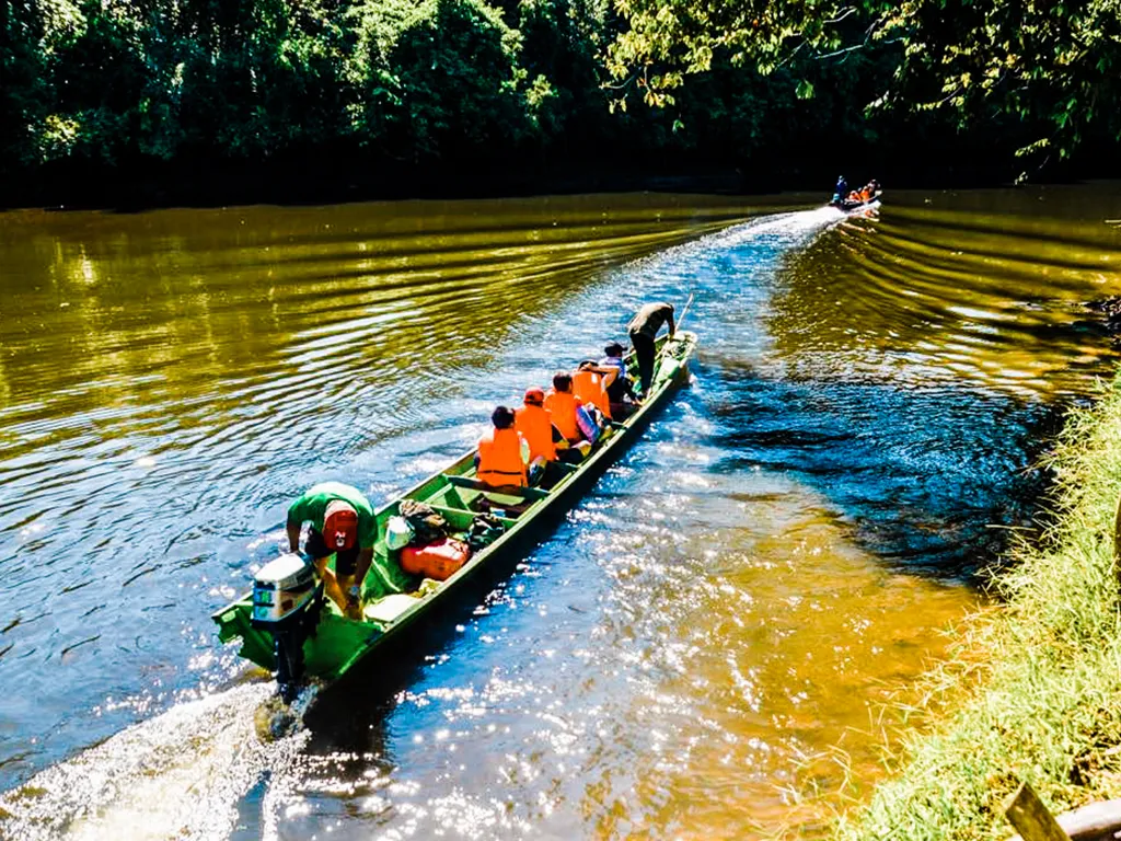 Ulu Temburong National Park