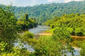 Ulu Temburong National Park