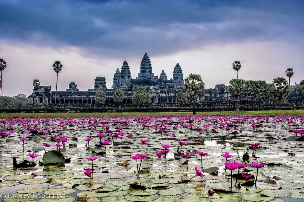 Angkor Wat