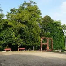 Bukit Patoi