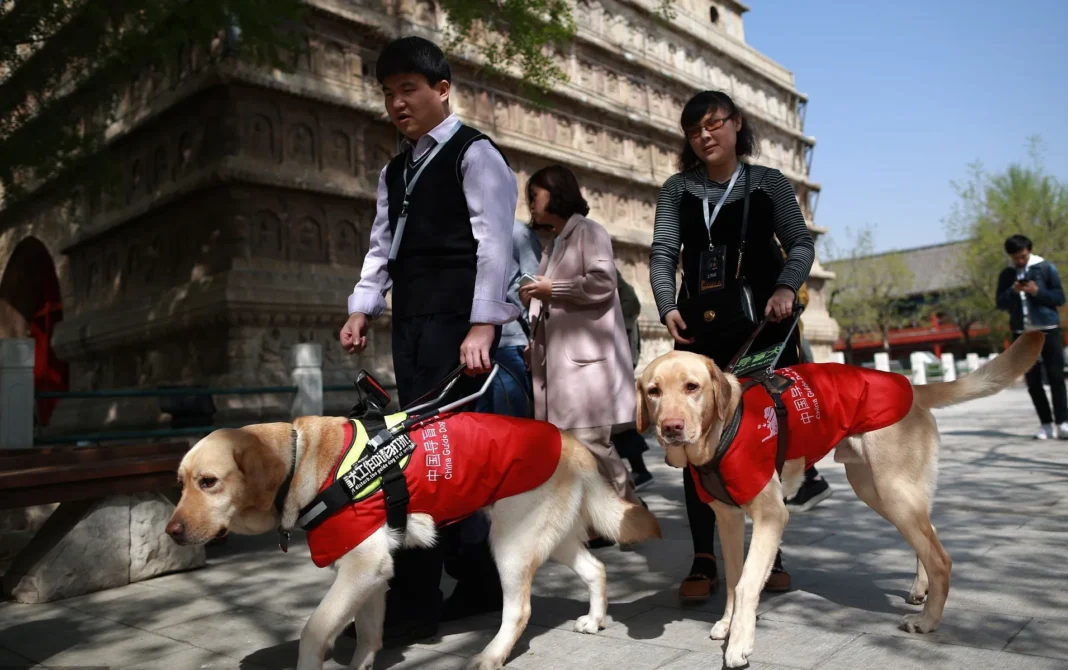 Accessible Travel in Beijing