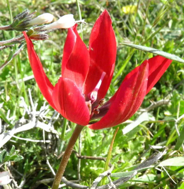 Akamas Peninsula National Park