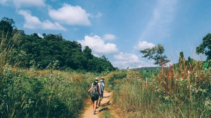 Cardamom Mountains trekking