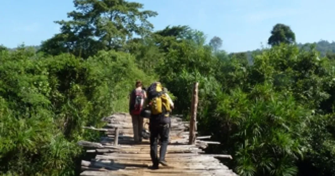 Cardamom Mountains trekking