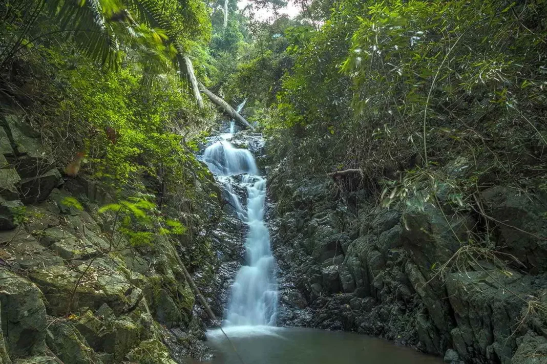 Cardamom Mountains trekking