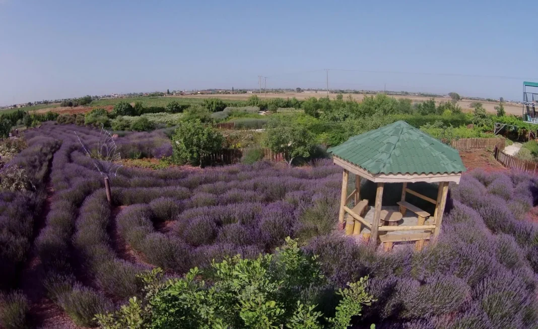 CyHerbia Botanical Park