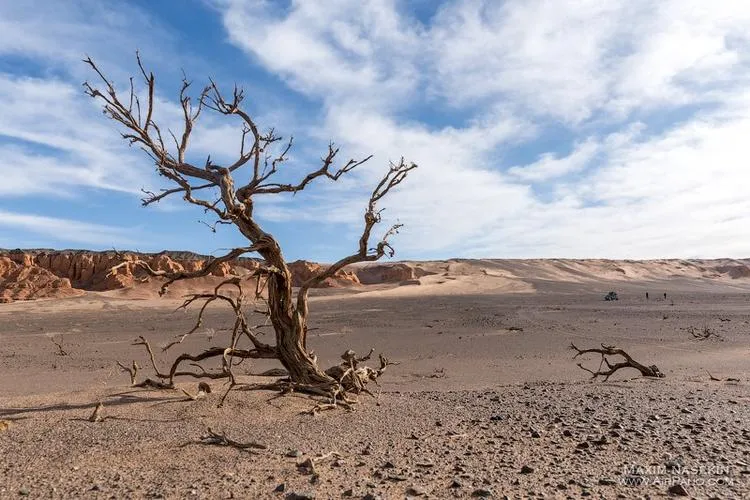 Gobi Desert