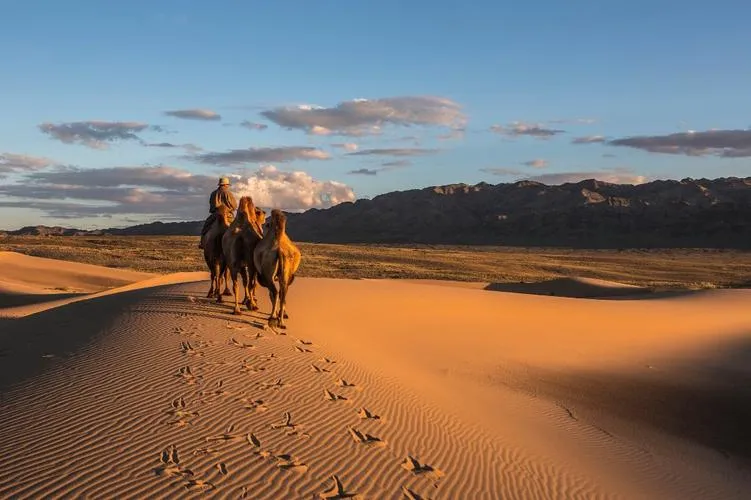 Gobi Desert