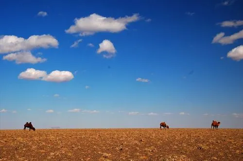 Gobi Desert