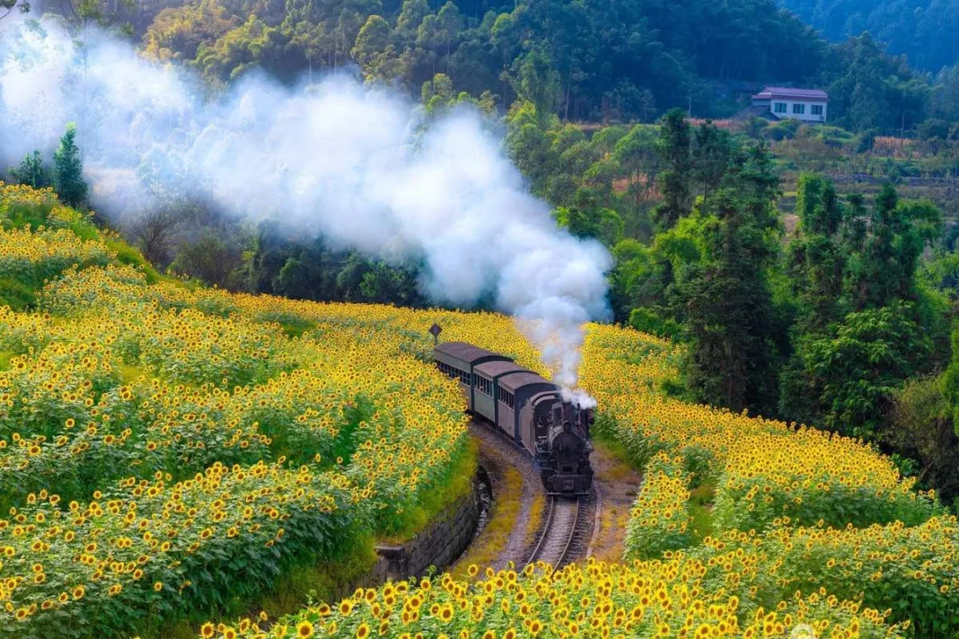 Jiayang Steam Train