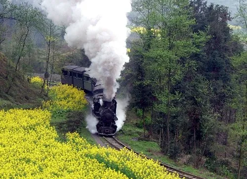 Jiayang Steam Train