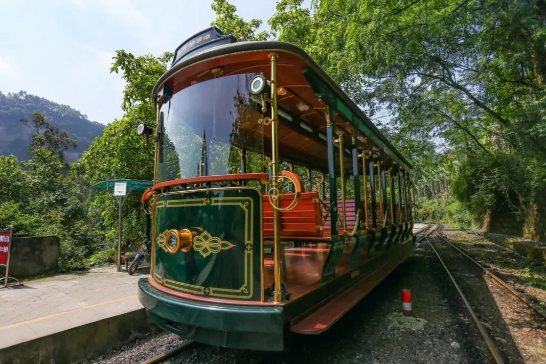 Jiayang Steam Train