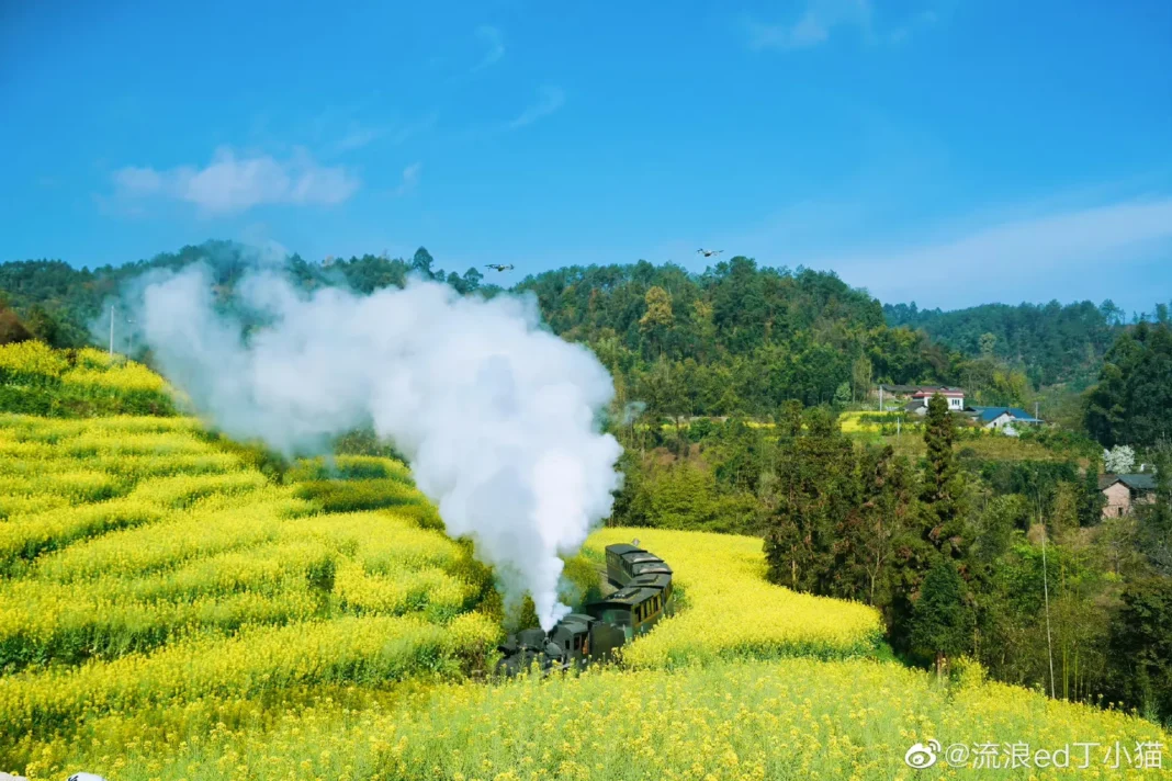 Jiayang Steam Train