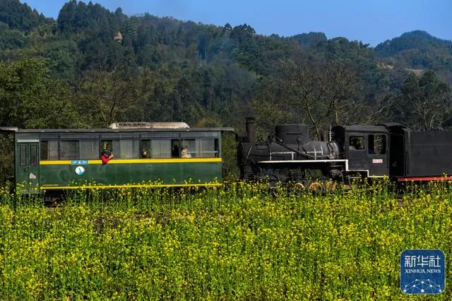 Jiayang Steam Train