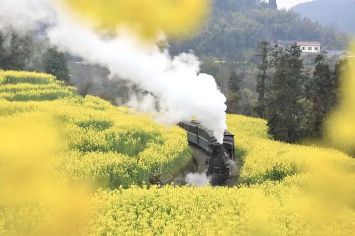 Jiayang Steam Train