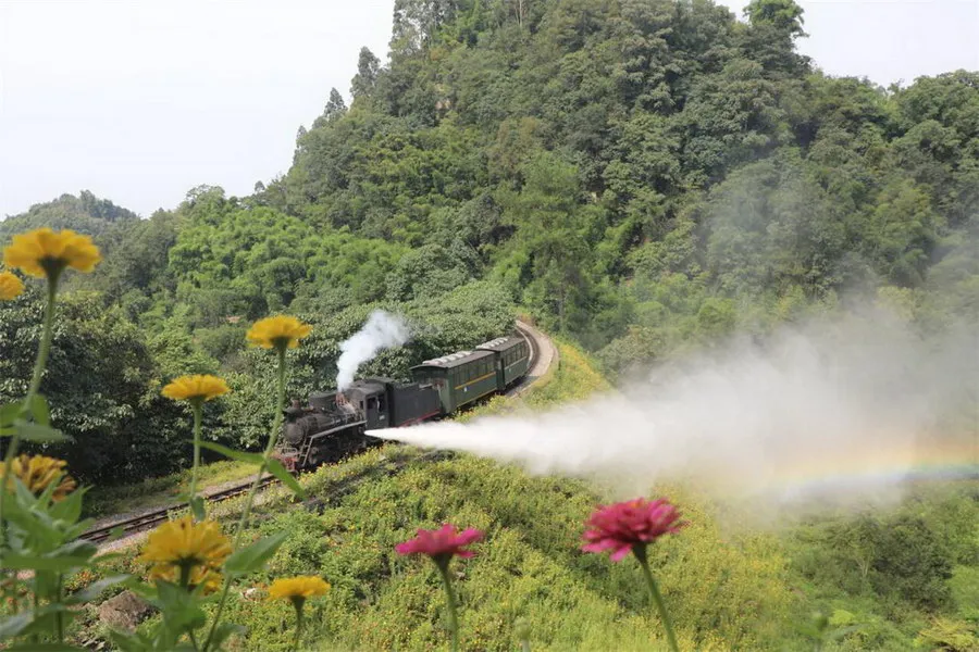 Jiayang Steam Train