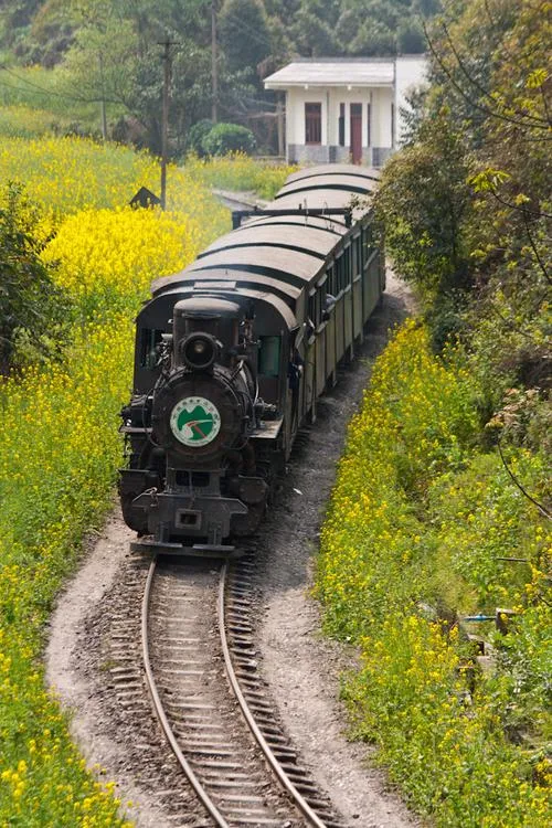 Jiayang Steam Train