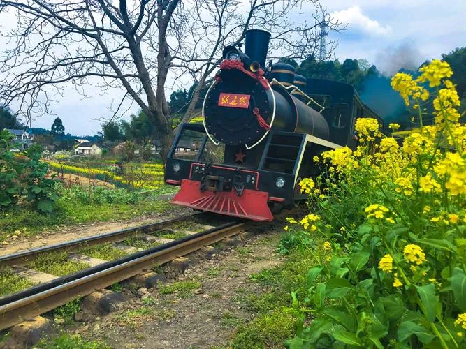 Jiayang Steam Train