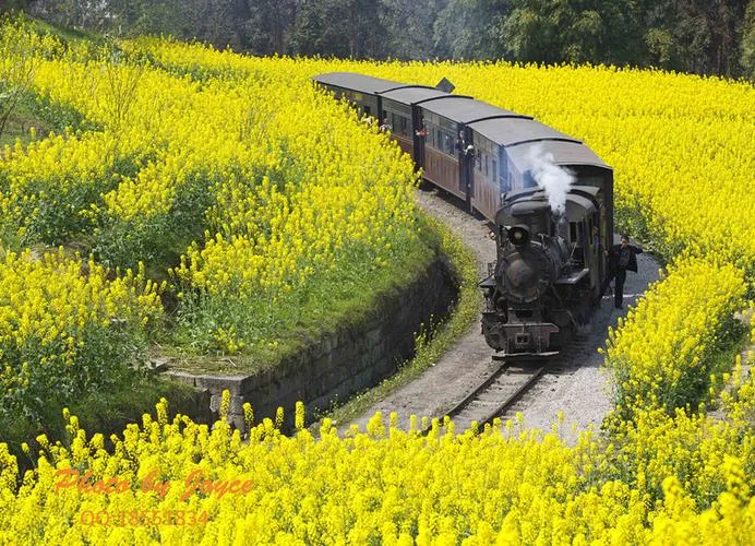 Jiayang Steam Train