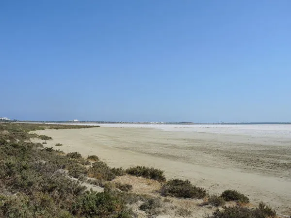 Larnaca Salt Lake