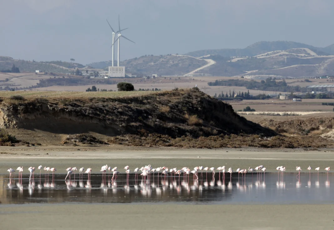 Larnaca Salt Lake