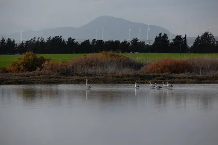 Larnaca Salt Lake