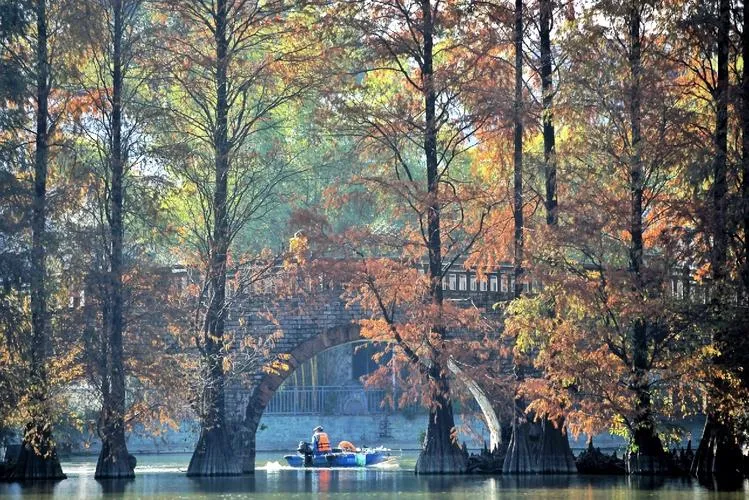 South China Botanical Garden