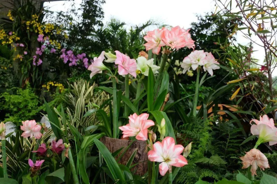 South China Botanical Garden