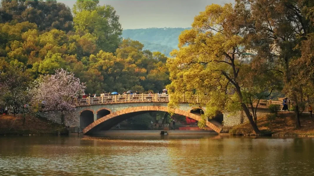 South China Botanical Garden