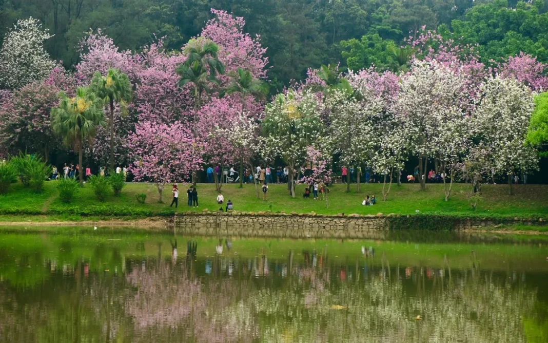 South China Botanical Garden