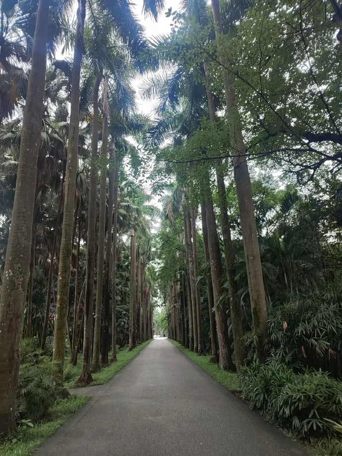 South China Botanical Garden