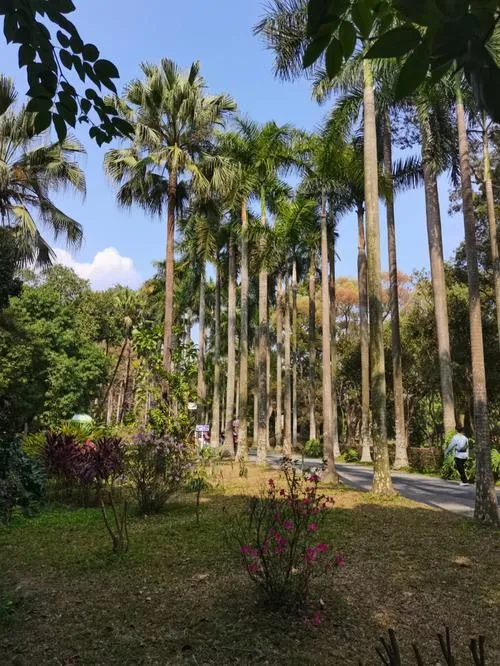 South China Botanical Garden