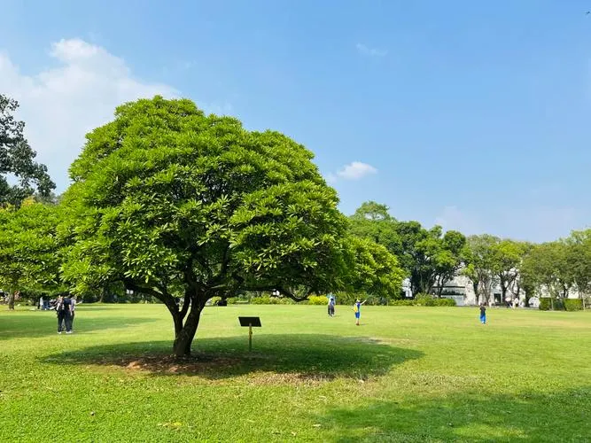 South China Botanical Garden