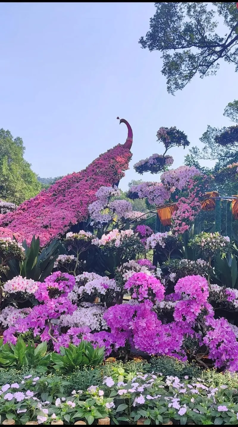 South China Botanical Garden