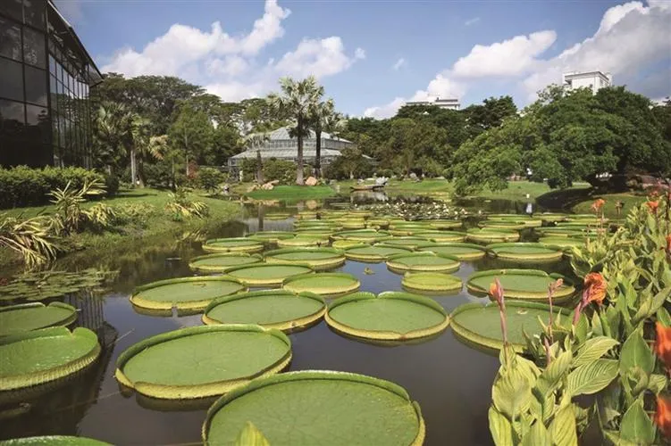 South China Botanical Garden