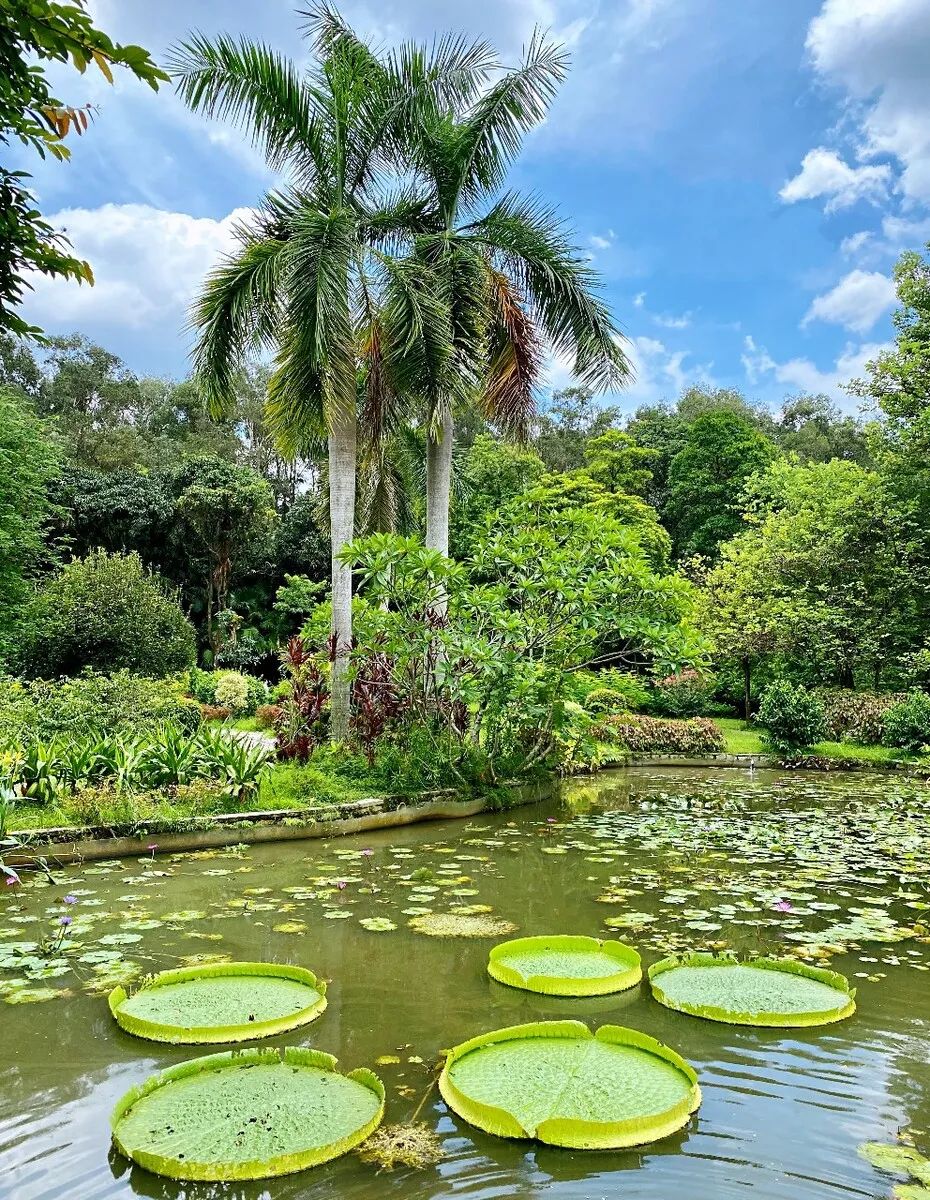 South China Botanical Garden