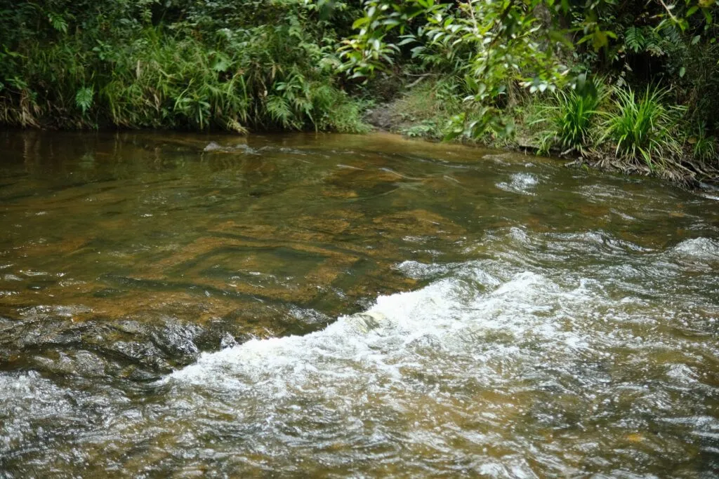 Sustainable Travel Cardamom Mountains