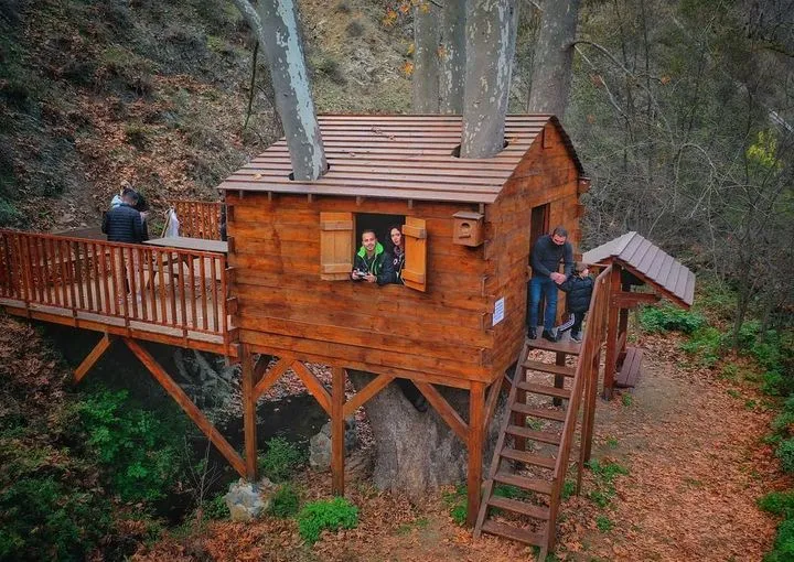 Treehouse Stays in Cyprus