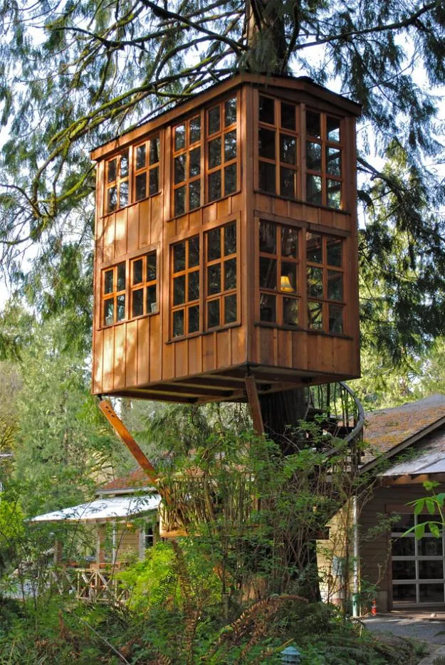 Treehouse Stays in Cyprus