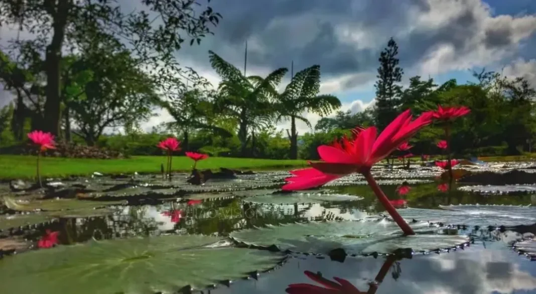 Xishuangbanna Tropical Botanical Garden