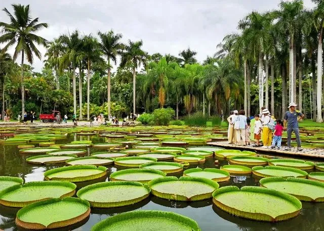 Xishuangbanna Tropical Botanical Garden