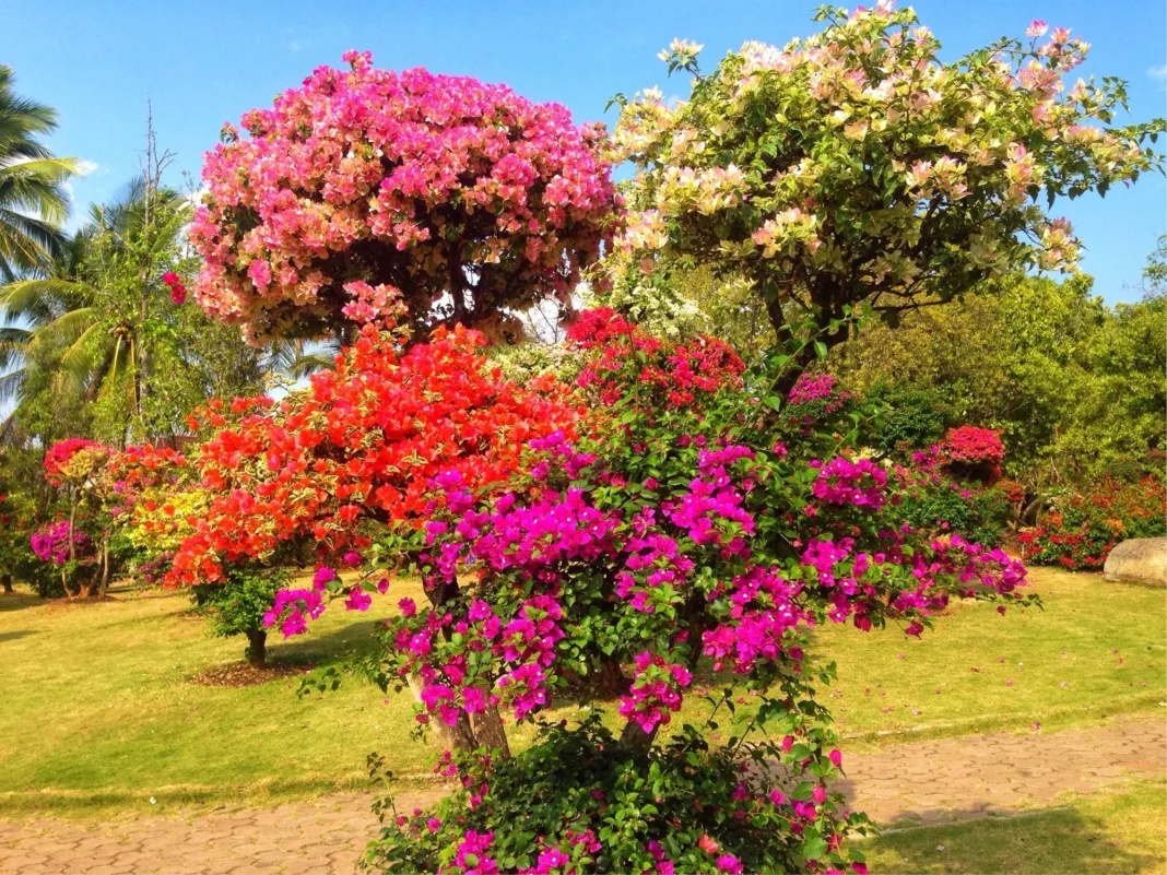 Xishuangbanna Tropical Botanical Garden